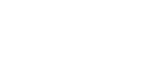 Slay-test
